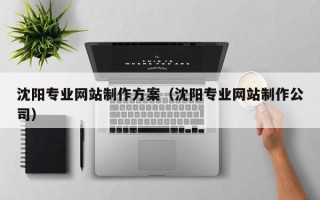 日照沈阳专业网站制作方案（沈阳专业网站制作公司）